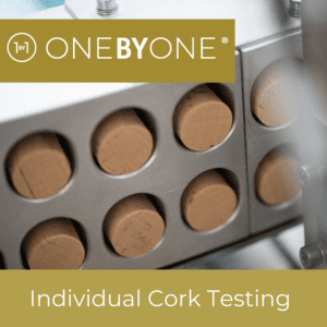 onebyone-oiv