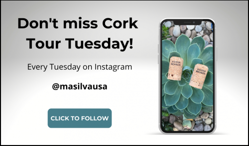Website Ads - Instagram